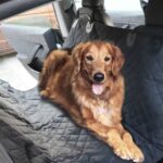 He615efc6d1074a3d9796fcd082a9d1579