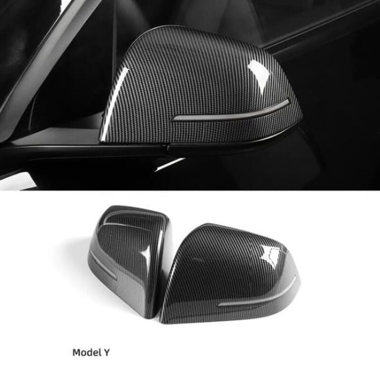 model y carbone brillant